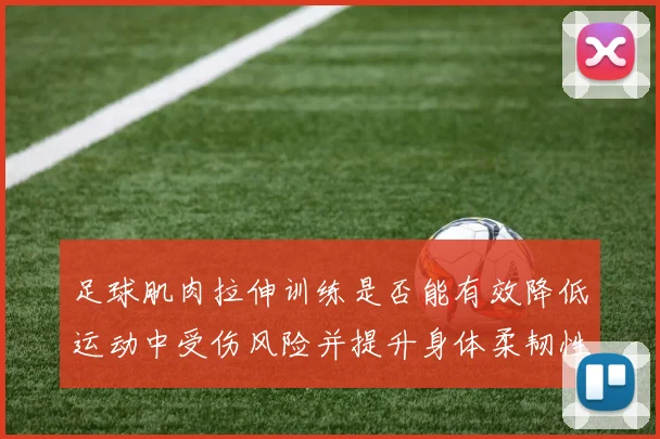 足球肌肉拉伸训练是否能有效降低运动中受伤风险并提升身体柔韧性