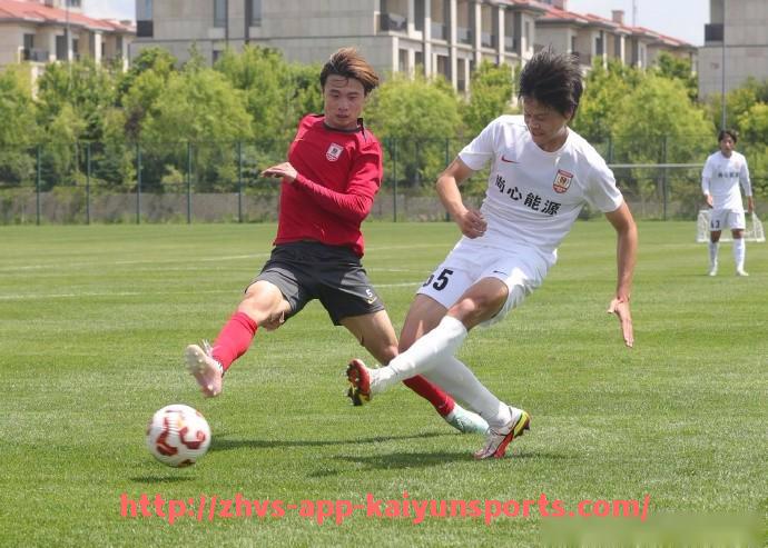 开云体育app下载-2021年总决赛中字母哥连续得分对胜负走向的决定性作用