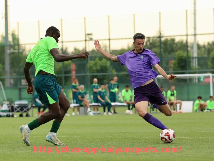 开云体育app下载-多个英超球队:分析多个英超球队的综合实力与赛季表现 开云体育app下载-多个英超球队:分析多个英超球队的综合实力与赛季表现